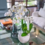 Villa Karishma_Living Room 16